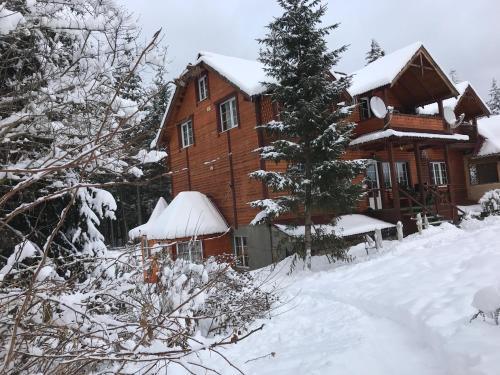 沃罗赫塔Cottage 12 Months的一座大木屋,地面上积雪