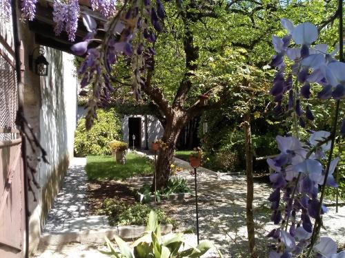 Un jardín fuera de Il Rifugio del Monaco