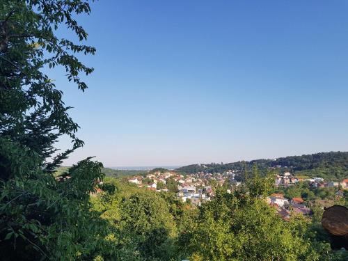 Blick auf eine Stadt von einem Hügel mit Bäumen in der Unterkunft Apartman Šestine in Zagreb