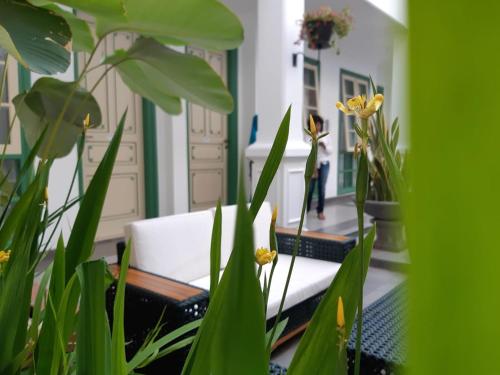 een woonkamer met een witte stoel en een aantal planten bij Rumah Jawa Guest House (Syariah) in Yogyakarta