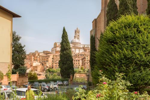 Jardí fora de Albergo Chiusarelli