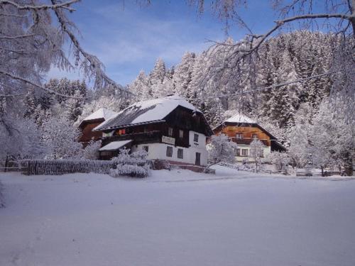 Apartment zum Wasserfall взимку