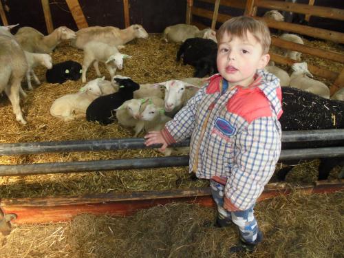 Uns nens a Boerderij Halfweg