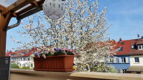 un vaso da fiori seduto su un cornicione accanto a un albero di Pension a la Kleinert a Weimar