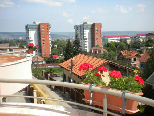 Balkon oz. terasa v nastanitvi Pension Cluj