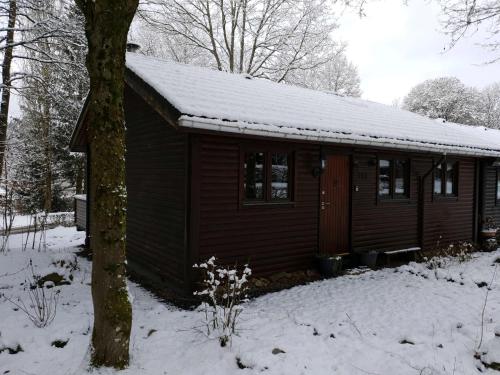 Ardennes durante el invierno