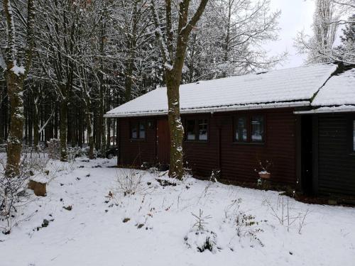 Ardennes durante el invierno