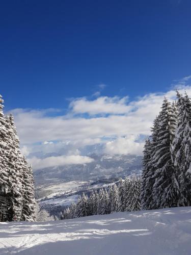 Blick auf einen schneebedeckten Berg mit Bäumen in der Unterkunft Le Refuge in Cordon