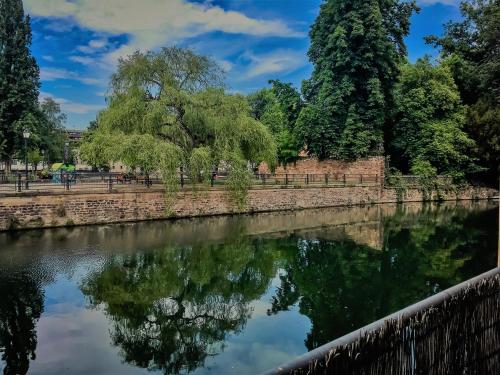 een rivier in een park met bomen en een brug bij Le Dunant in Straatsburg