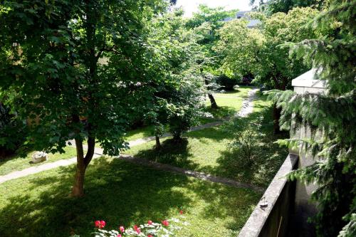 vista su un giardino con albero e recinto di Exclusive Central Apartment a Basilea