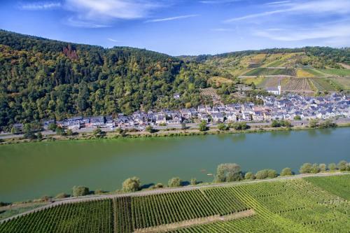 Afbeelding uit fotogalerij van Weingut Pension Gibbert-Pohl in Briedel