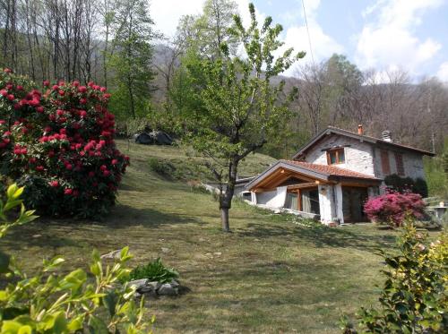 Vườn quanh Bellissimo Rustico A 7 km Dal Lago D'Orta