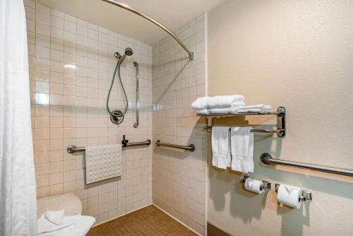 Comfort Inn & Suites Sacramento - University Area पर एक बाथरूम