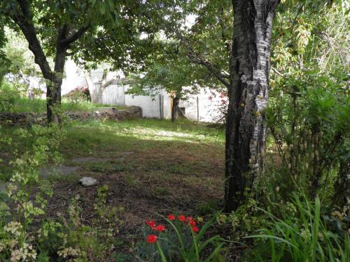 Un jardín fuera de Apartamentos Casalpujarra