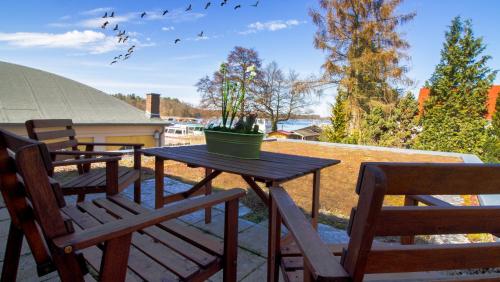 two chairs and a table with a potted plant on a patio at Seepavillon Rheinsberg in Rheinsberg