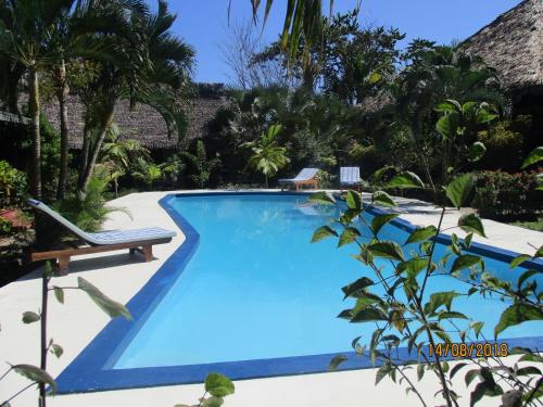 einen großen blauen Pool mit einem Stuhl und Bäumen in der Unterkunft Tropic Hôtel in Ambondrona