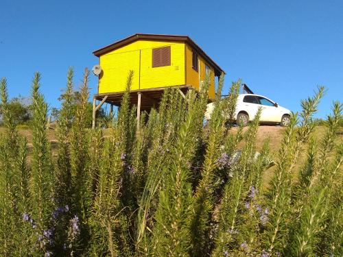 Ảnh trong thư viện ảnh của Fama ở Punta Del Diablo