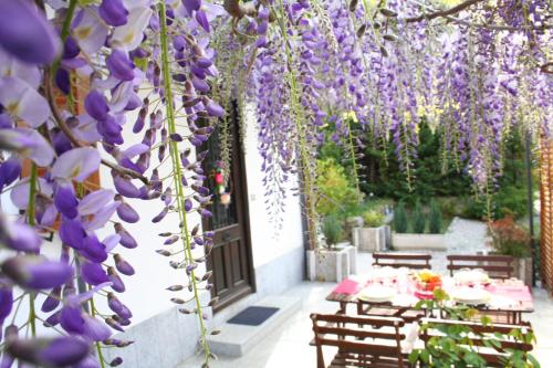 um jardim coberto de glicínias com mesas e cadeiras em Villa dei Fiori em Luino