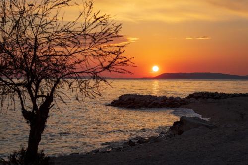 un coucher de soleil sur l'eau avec un arbre sur la plage dans l'établissement Apartments Amigos, à Podstrana