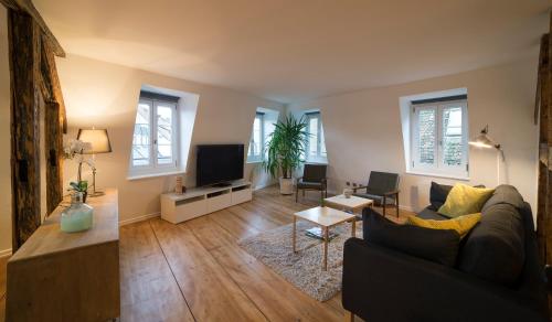 een woonkamer met een bank en een tv bij Appartement Cocoon Hypercentre in Straatsburg