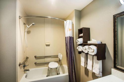 a bathroom with a shower and a tub and a toilet at La Quinta by Wyndham Baton Rouge Denham Springs in Baton Rouge