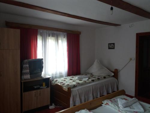 a bedroom with two beds and a window with a television at Pensiunea Letitia in Suceviţa