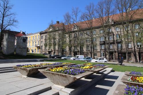 Tallinn City Apartments - Old Town के बाहर एक बगीचा