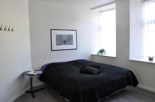 1 dormitorio con 1 cama con manta negra y 2 ventanas en AB Centrum Aarhus Bed without Breakfast, en Aarhus