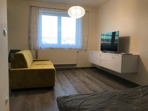 Televizors / izklaižu centrs naktsmītnē apartmán Poděbradka