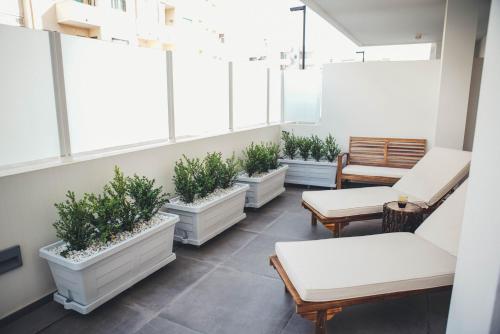 a row of plants in pots in a room with windows at Terradamare in Monopoli