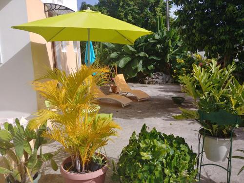 un patio con una sombrilla verde y algunas plantas en studio sympa, en Port-Louis