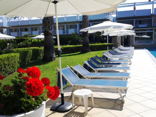 une rangée de chaises longues avec des parasols et des fleurs rouges dans l'établissement Albergo Mediterraneo, à Terracine