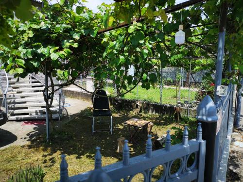 A garden outside Shorena's House