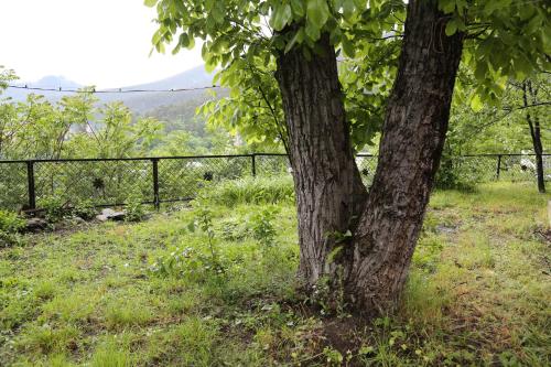 Paisatge natural a prop de l'hostal o pensió