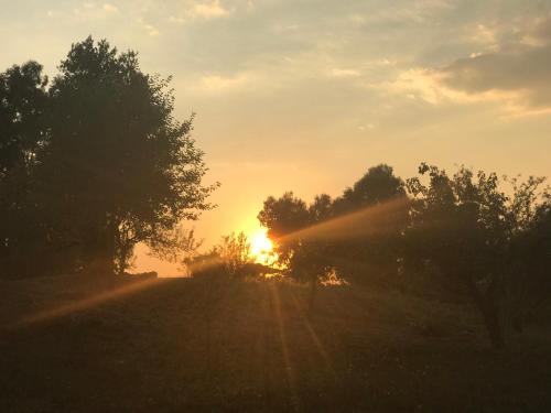 un coucher de soleil sur une colline avec des arbres dans un champ dans l'établissement La villetta dei sogni nel Parco, à Rome