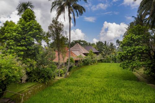 乌布Ananda Ubud Resort的郁郁葱葱的绿色庭院,种植了棕榈树,设有度假屋