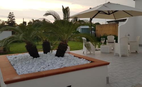 a garden with palm trees and an umbrella at Il fiore di loto in San Felice Circeo