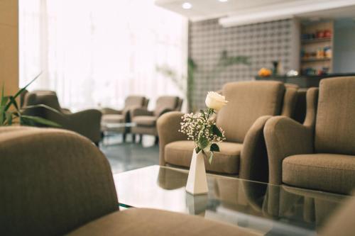 uma sala de espera com cadeiras e uma flor num vaso em Hotel Nufarul em Baile Felix