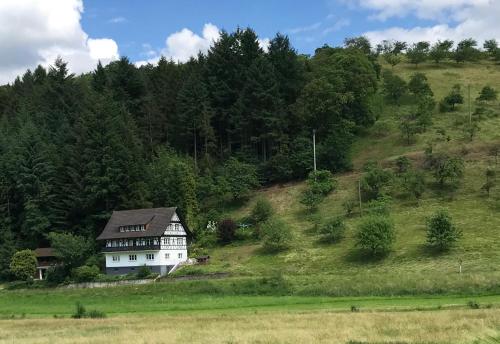 una casa sul fianco di una collina di Ferienwohnung Hesselbach a Oberkirch