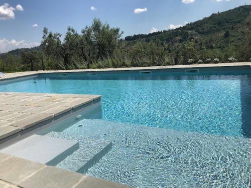 een groot blauw zwembad met bergen op de achtergrond bij Agriturismo San Martino in Quarrata