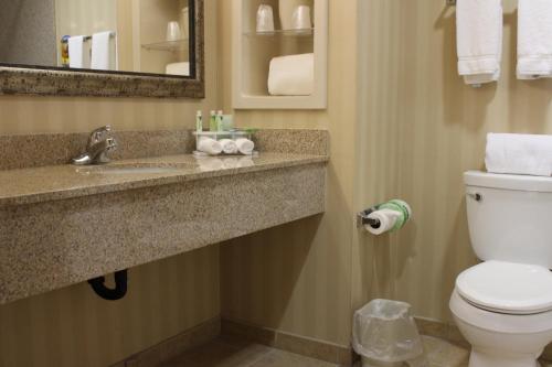 Holiday Inn Express Tehachapi, an IHG Hotel tesisinde bir banyo