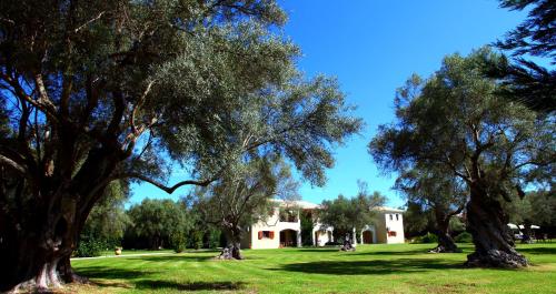 Gallery image of Olivastro Villa in Lefkada Town