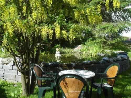 Garden sa labas ng Ambiente Guesthouse