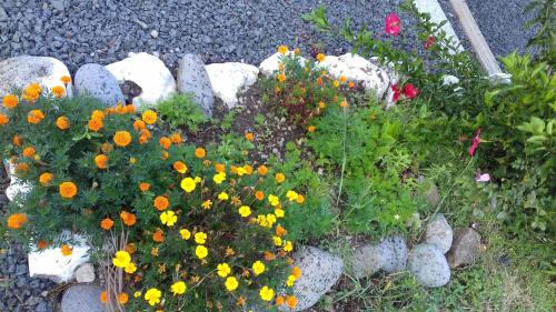 um jardim com flores amarelas e laranjas e uma cerca em Bikamado em Deshaies