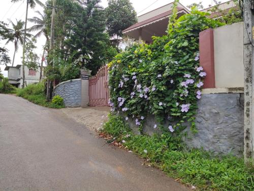 Un jardín fuera de Ferndale Homestay