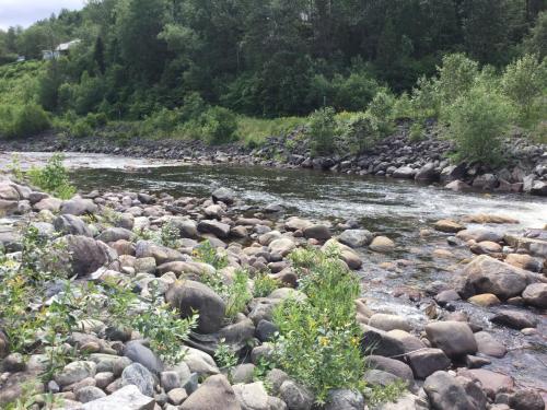 Un río lleno de rocas junto a un bosque en Chalet Saint-Thomas, en L'Anse-Saint-Jean