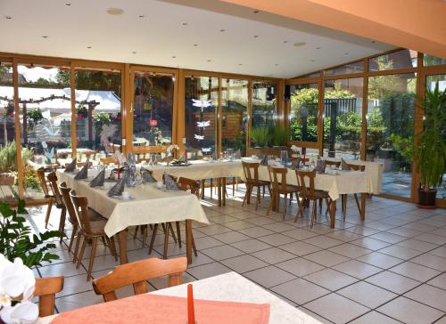 un restaurant avec des tables, des chaises et des fenêtres dans l'établissement Alt Wehlheiden, à Cassel