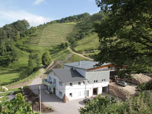 una vista aerea di una casa con vigneto di Ferienwohnungen Giedensbach a Oberkirch