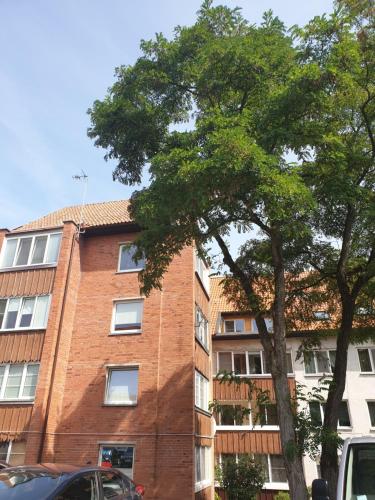 wysoki ceglany budynek z drzewem przed nim w obiekcie Apartamentai Taikos 10-36 Nida w mieście Nida