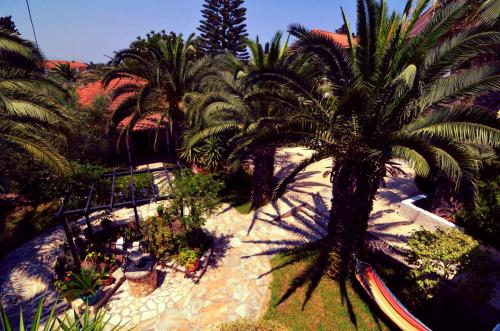 Un jardín fuera de Lofos Strani